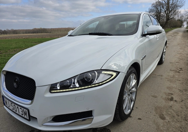 Jaguar XF cena 46500 przebieg: 206250, rok produkcji 2012 z Kutno małe 121